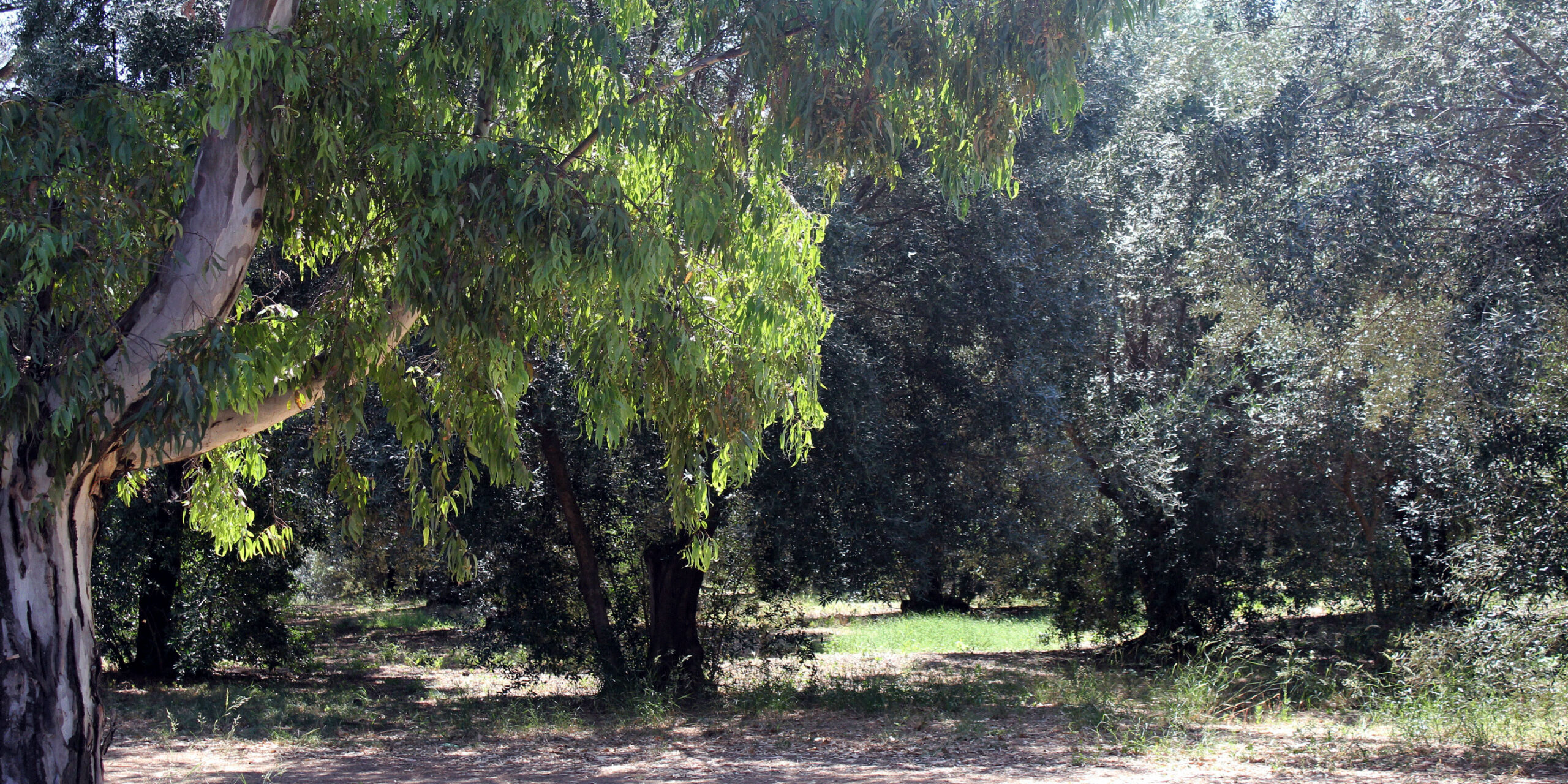 MAUT_Esterno8